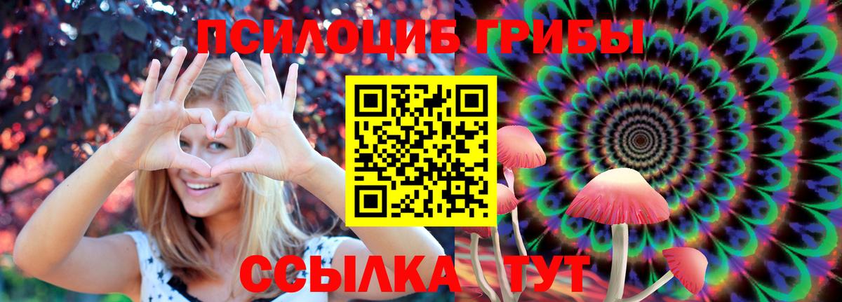 Псилоцибиновые грибы MAGIC MUSHROOMS Менделеевск