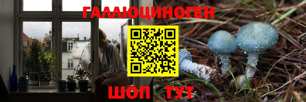 Псилоцибиновые грибы Cubensis  Галлюциногенные грибы Psilocybe  Менделеевск  Вход с VPN 
